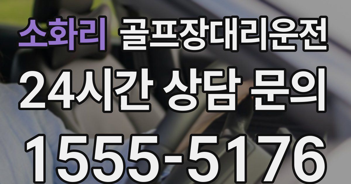 골프장대리운전 서비스