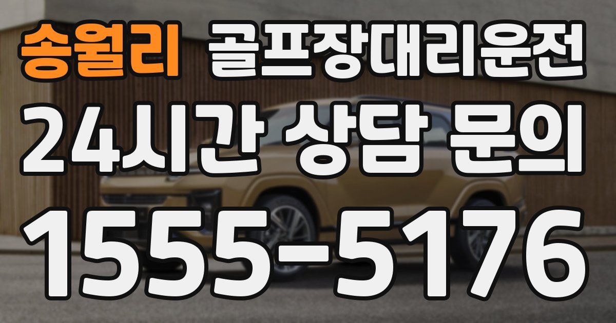 골프장대리운전 서비스