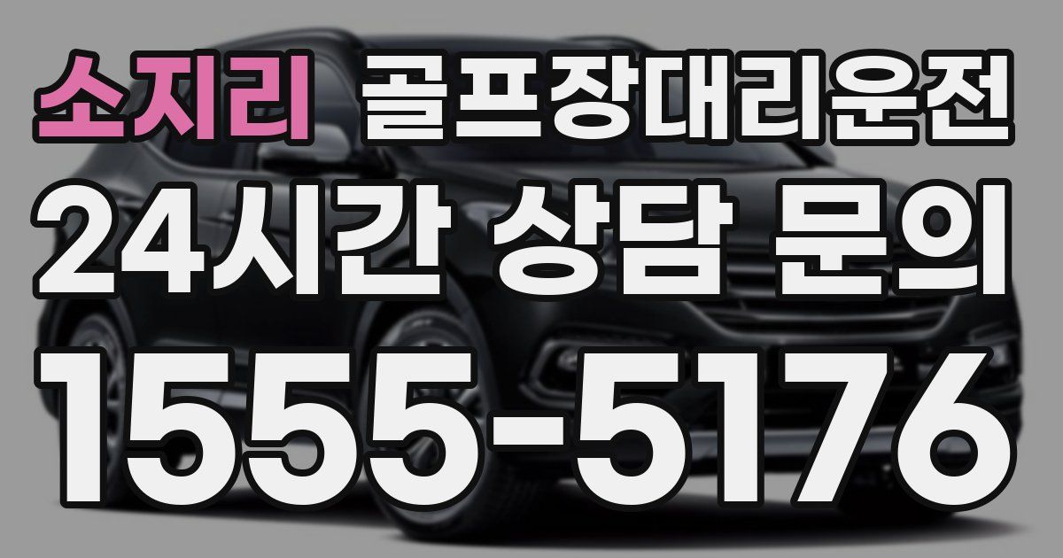 골프장대리운전 서비스