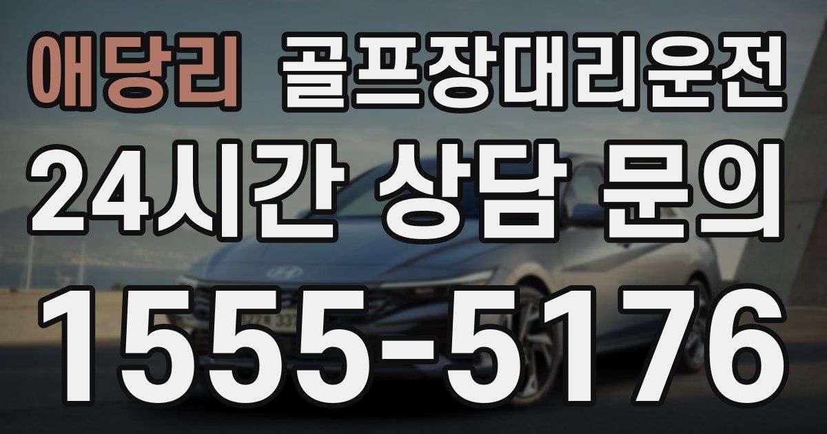 골프장대리운전 서비스