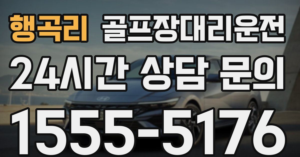 골프장대리운전 서비스