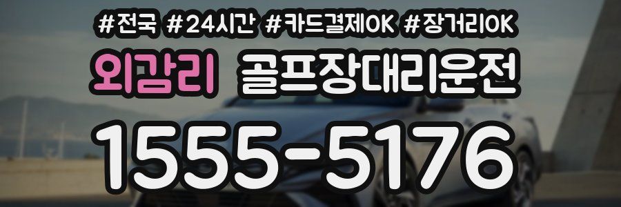 외감리 골프장대리운전