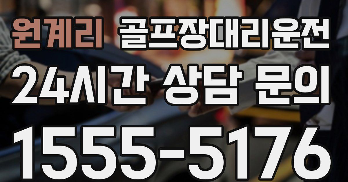 골프장대리운전 서비스