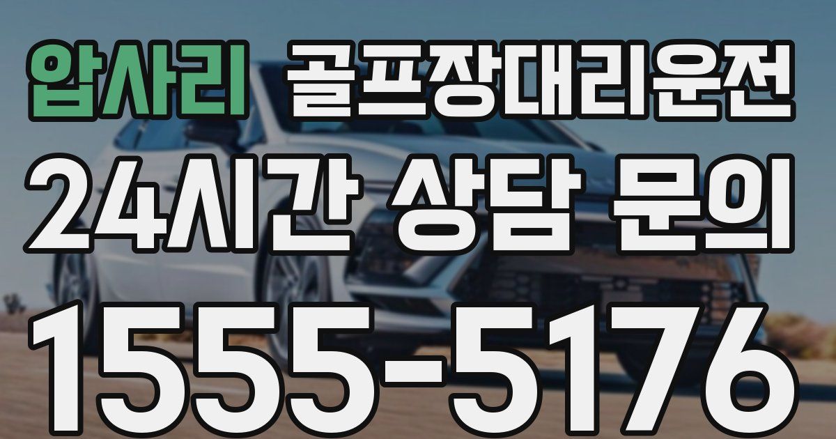 골프장대리운전 서비스