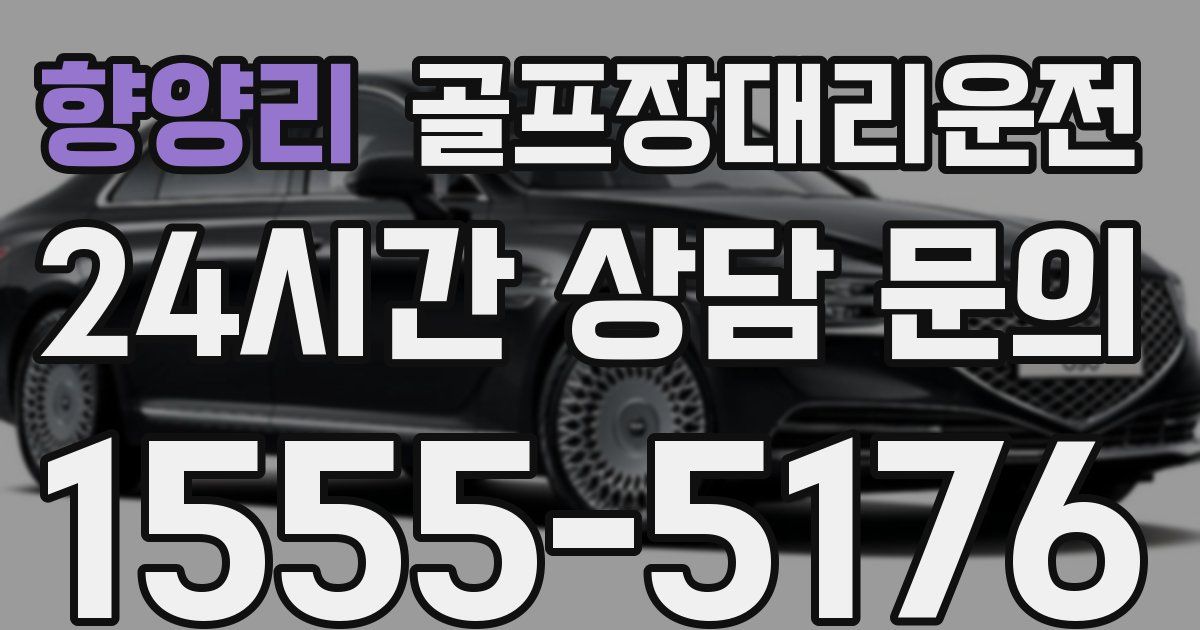 골프장대리운전 서비스