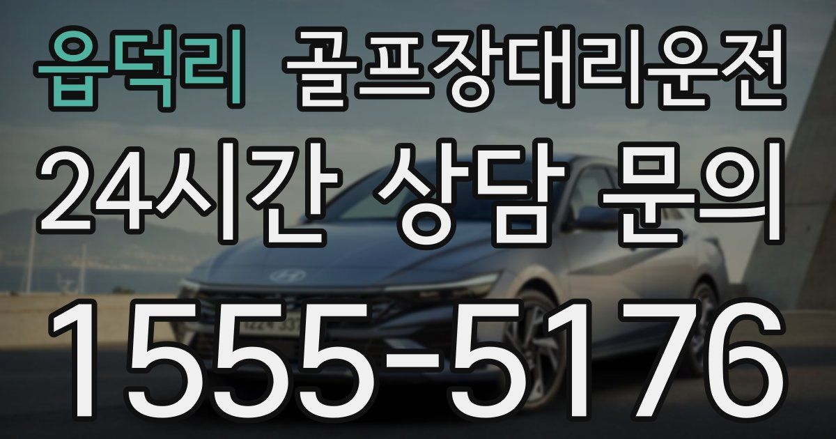 골프장대리운전 서비스