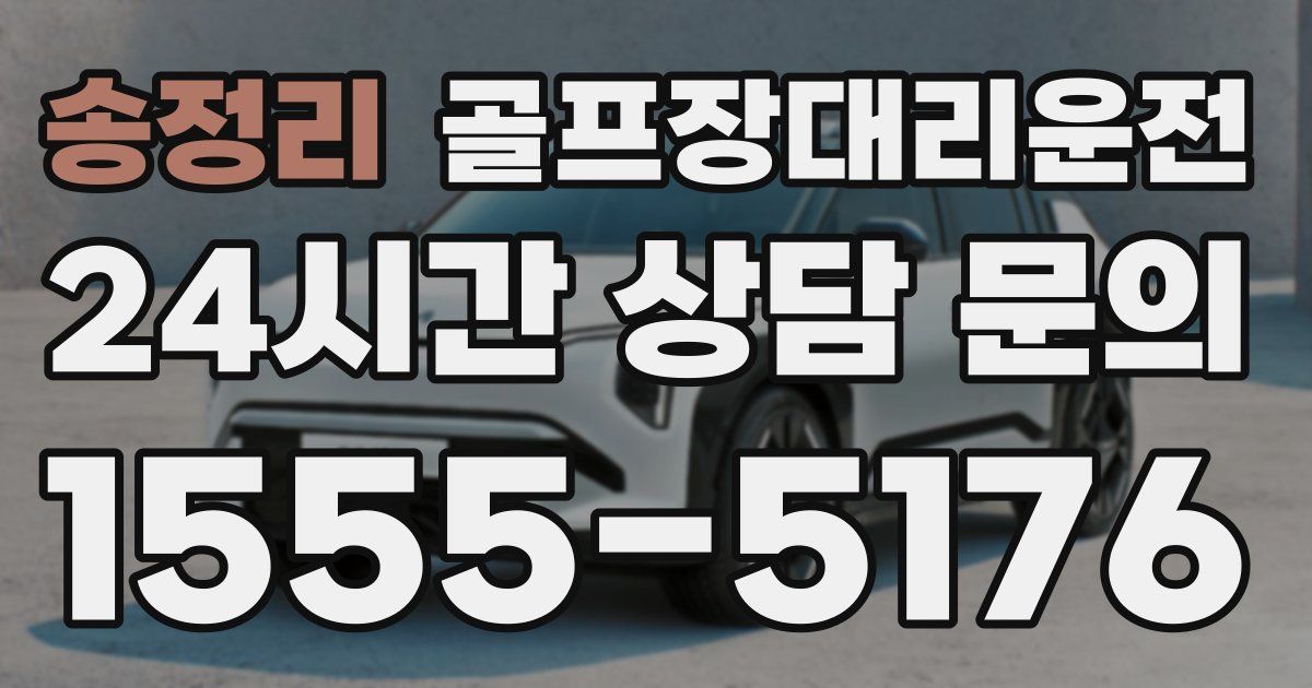 골프장대리운전 서비스