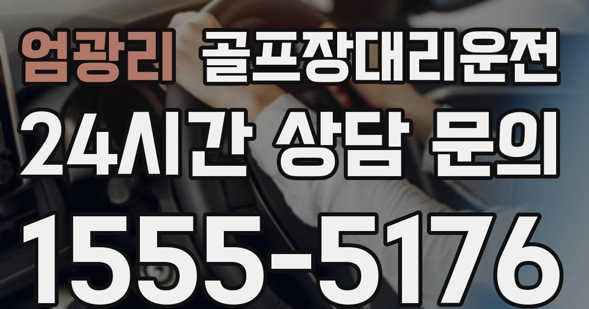 골프장대리운전 서비스