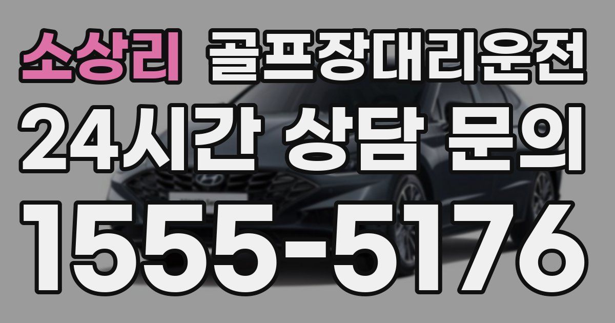 골프장대리운전 서비스