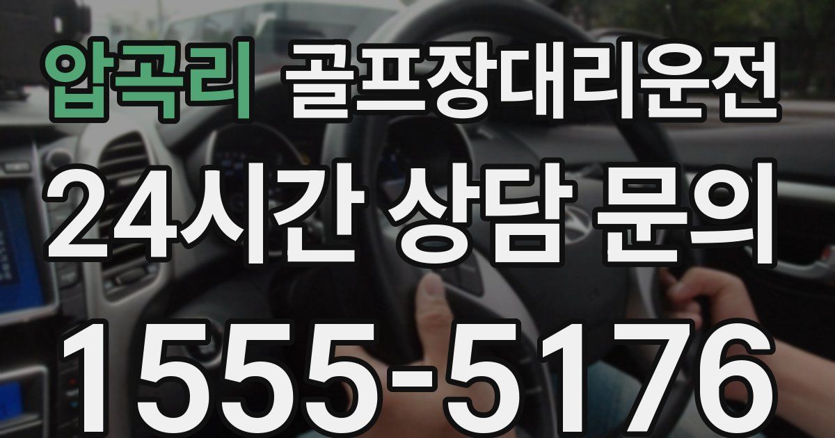 골프장대리운전 서비스