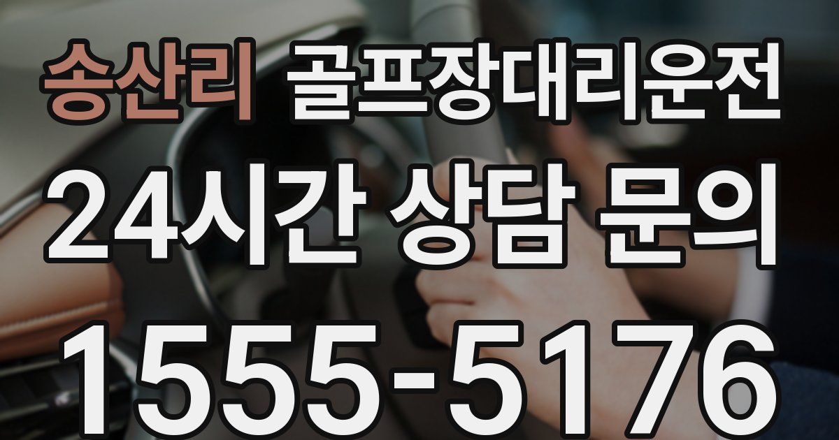 골프장대리운전 서비스