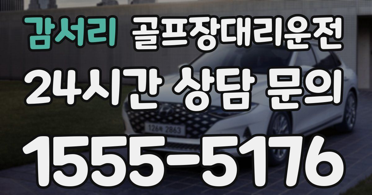 골프장대리운전 서비스