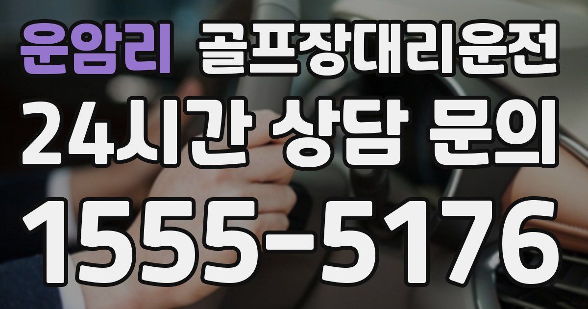 골프장대리운전 서비스