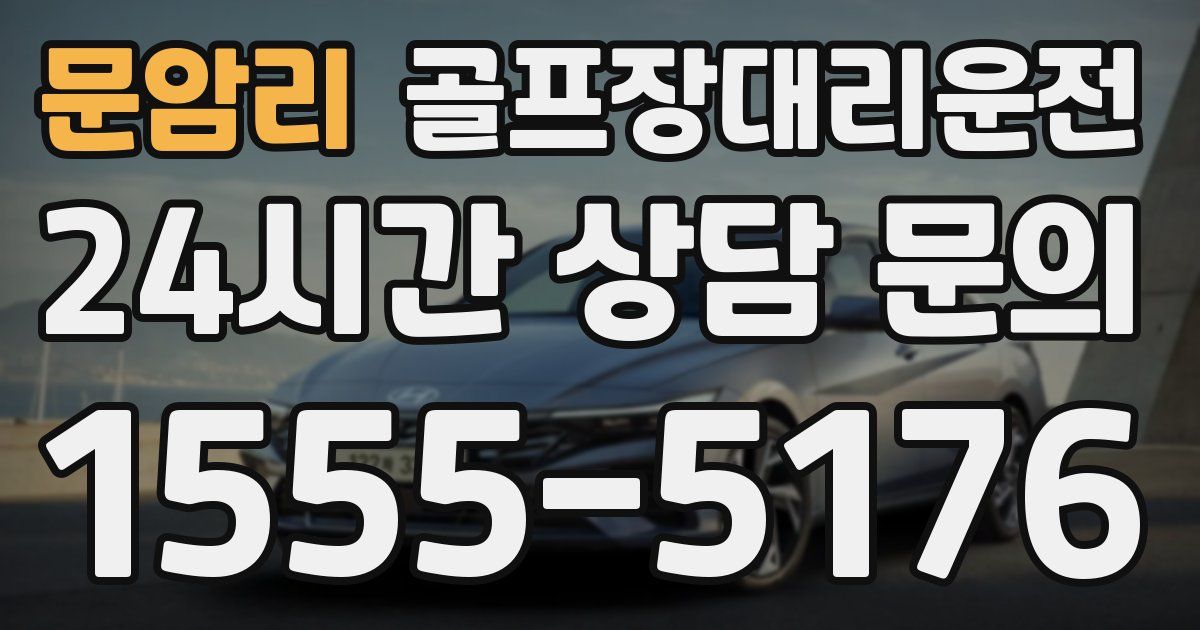 골프장대리운전 서비스