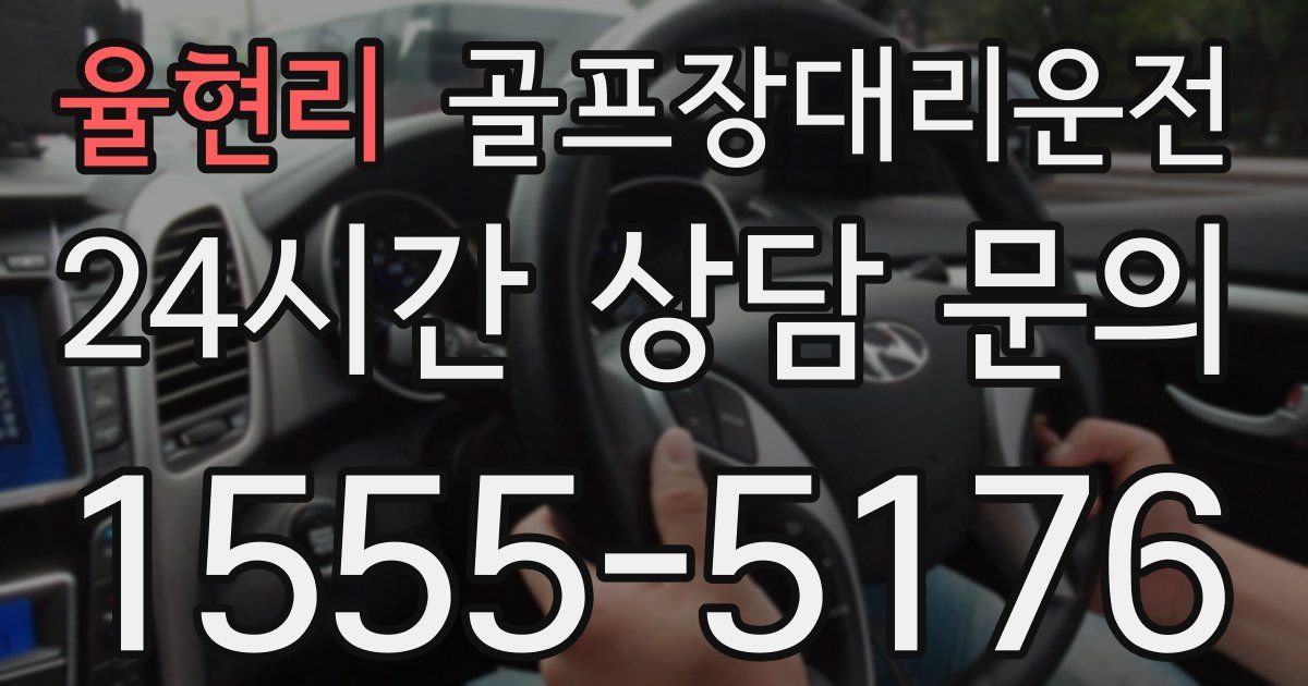 골프장대리운전 서비스