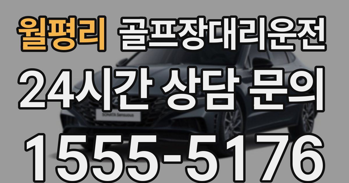 골프장대리운전 서비스