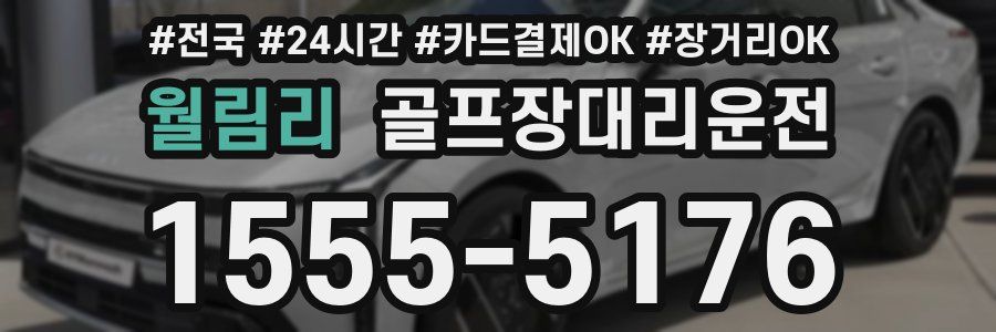 월림리 골프장대리운전