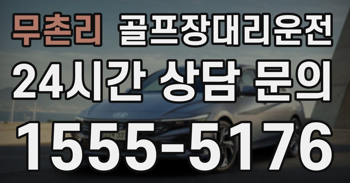 골프장대리운전 서비스