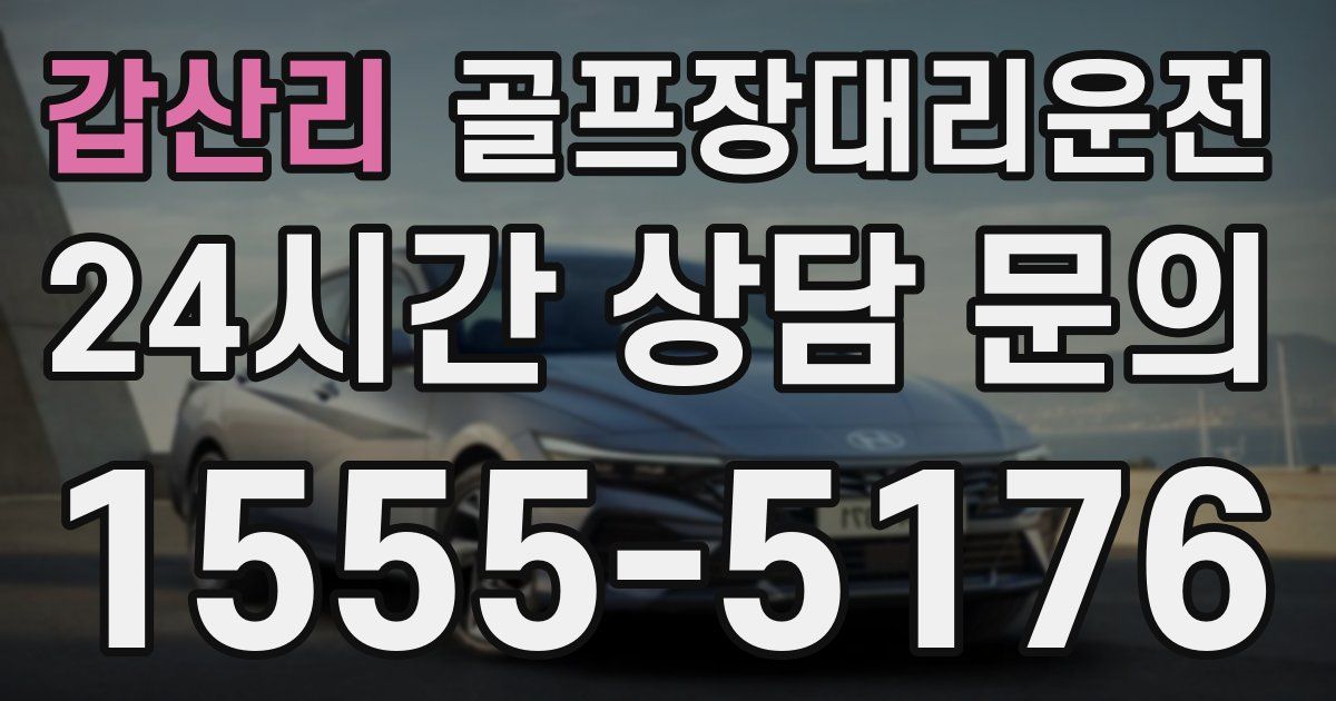 골프장대리운전 서비스