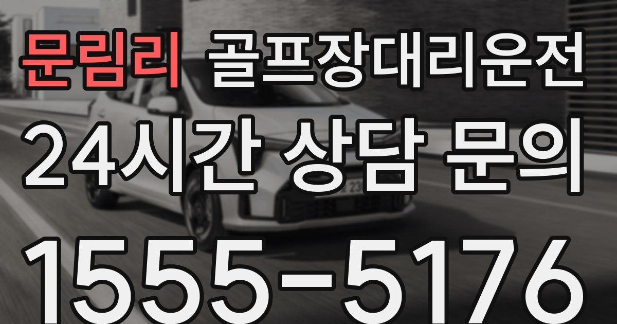 골프장대리운전 서비스