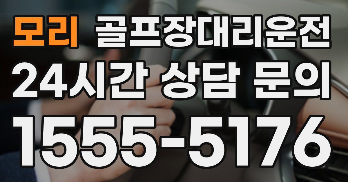 골프장대리운전 서비스