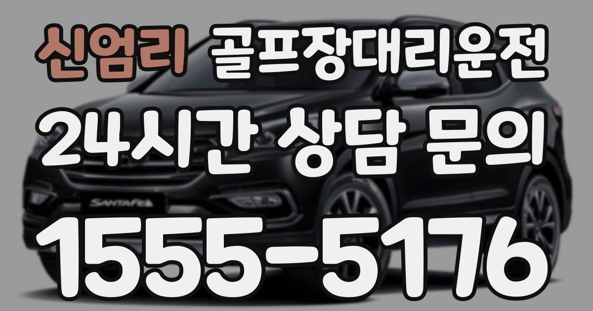 골프장대리운전 서비스