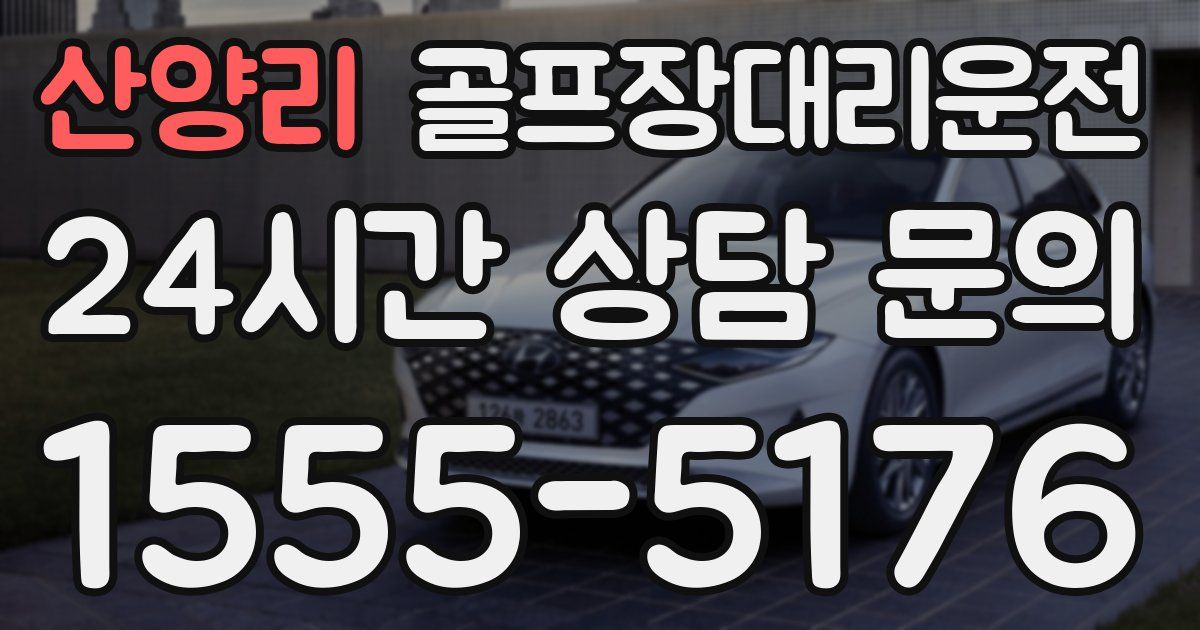 골프장대리운전 서비스