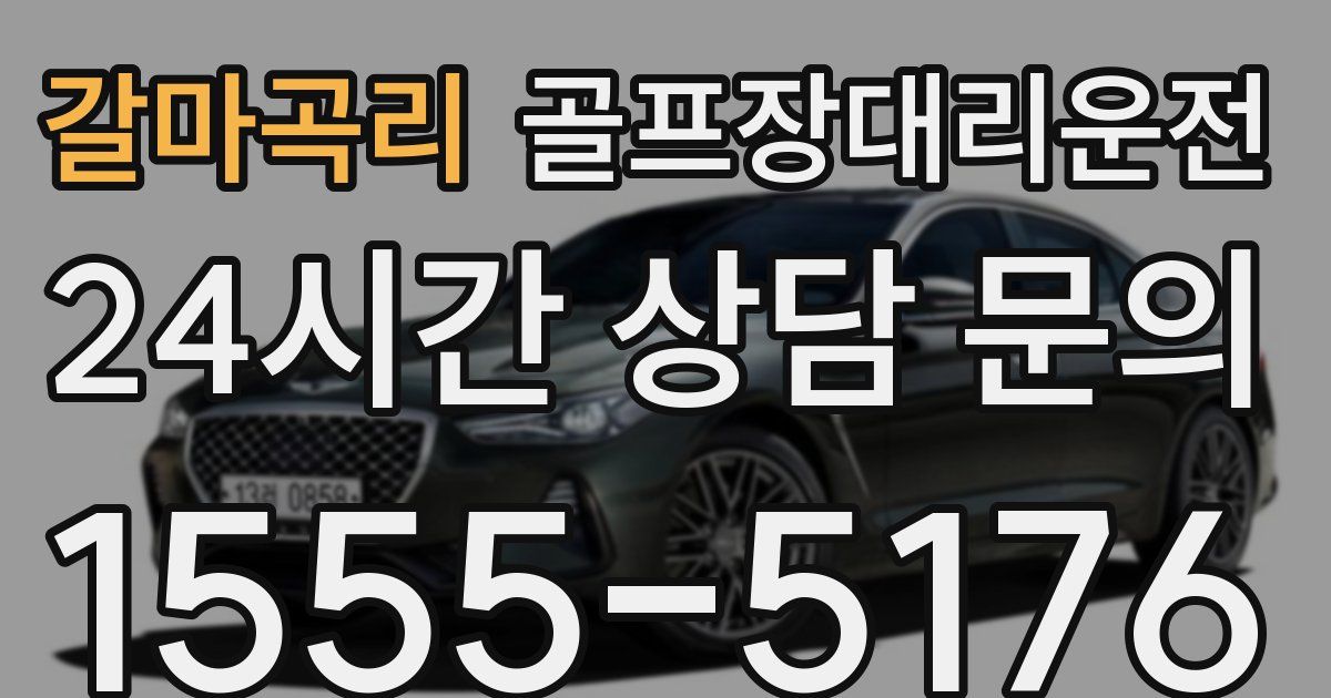 골프장대리운전 서비스