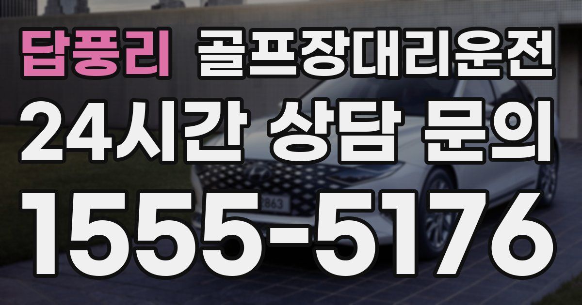 골프장대리운전 서비스