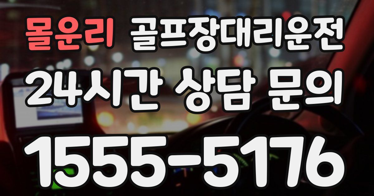 골프장대리운전 서비스