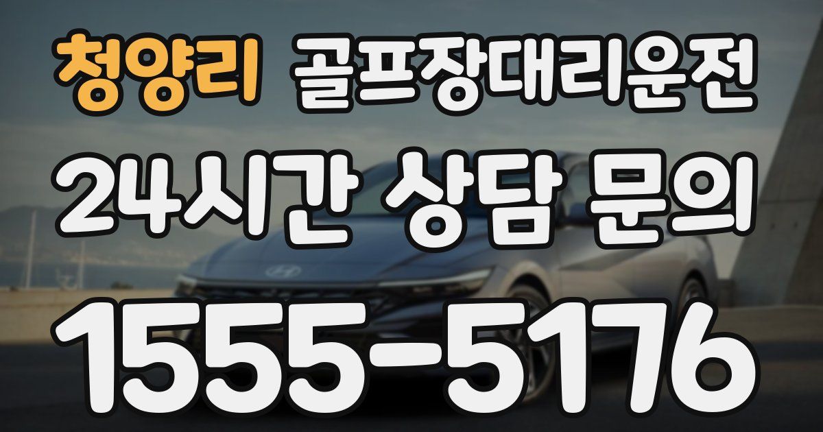골프장대리운전 서비스