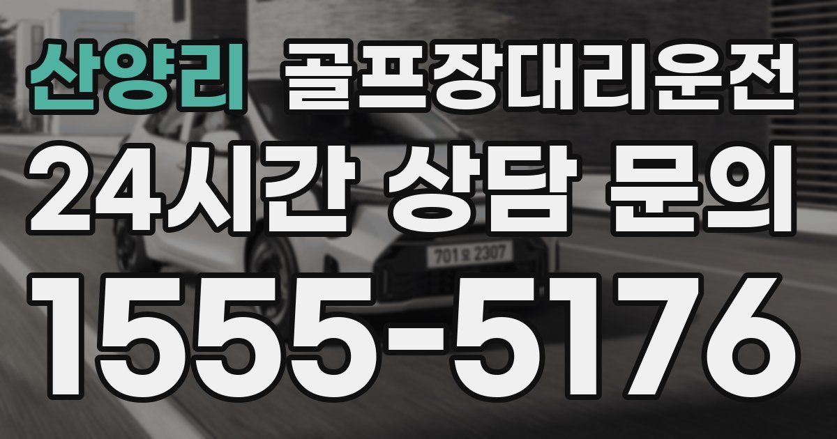 골프장대리운전 서비스