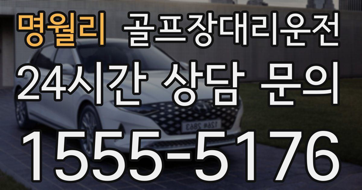 골프장대리운전 서비스