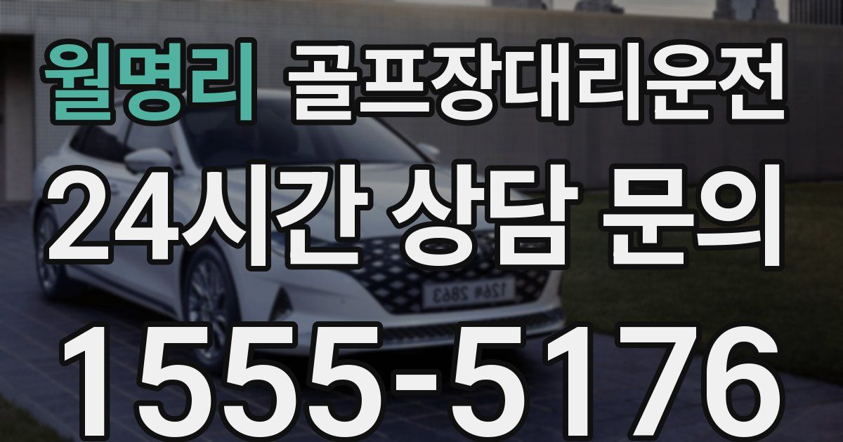 골프장대리운전 서비스