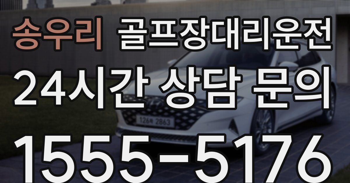 골프장대리운전 서비스