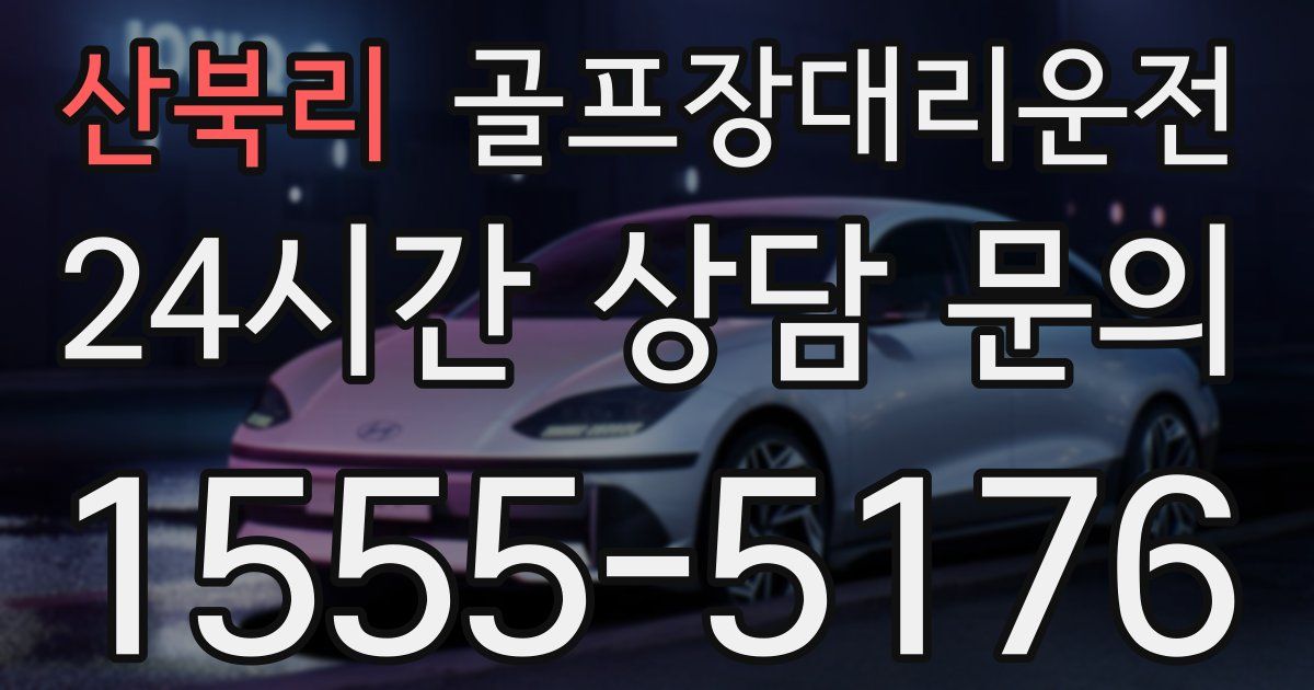 골프장대리운전 서비스