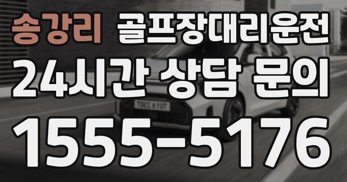 골프장대리운전 서비스
