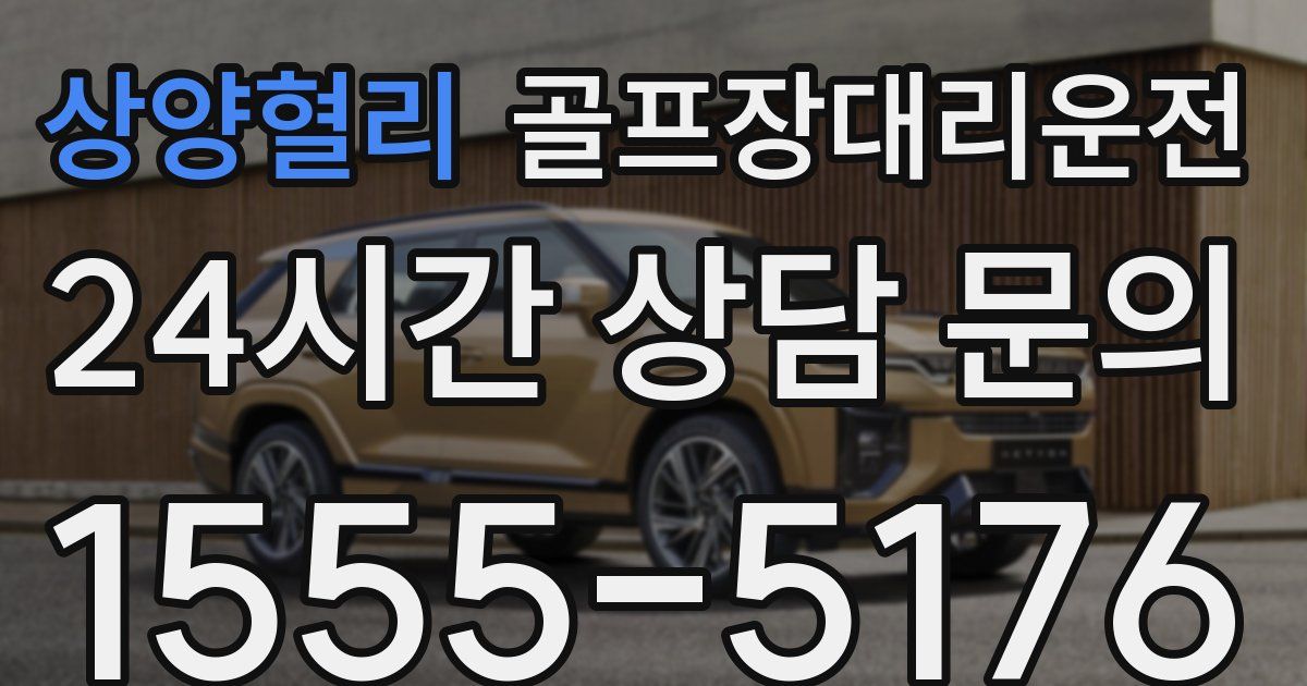 골프장대리운전 서비스