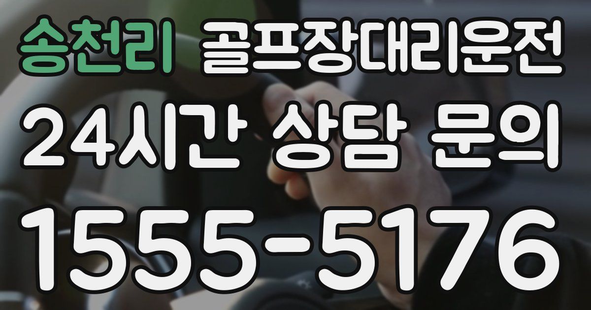 골프장대리운전 서비스