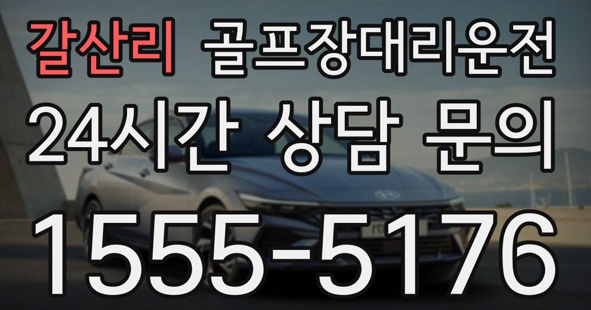 골프장대리운전 서비스