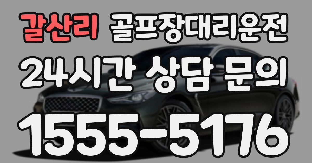 골프장대리운전 서비스