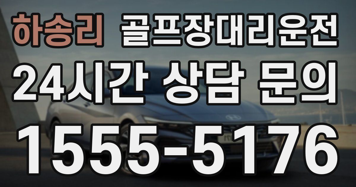 골프장대리운전 서비스
