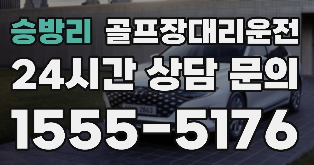 골프장대리운전 서비스