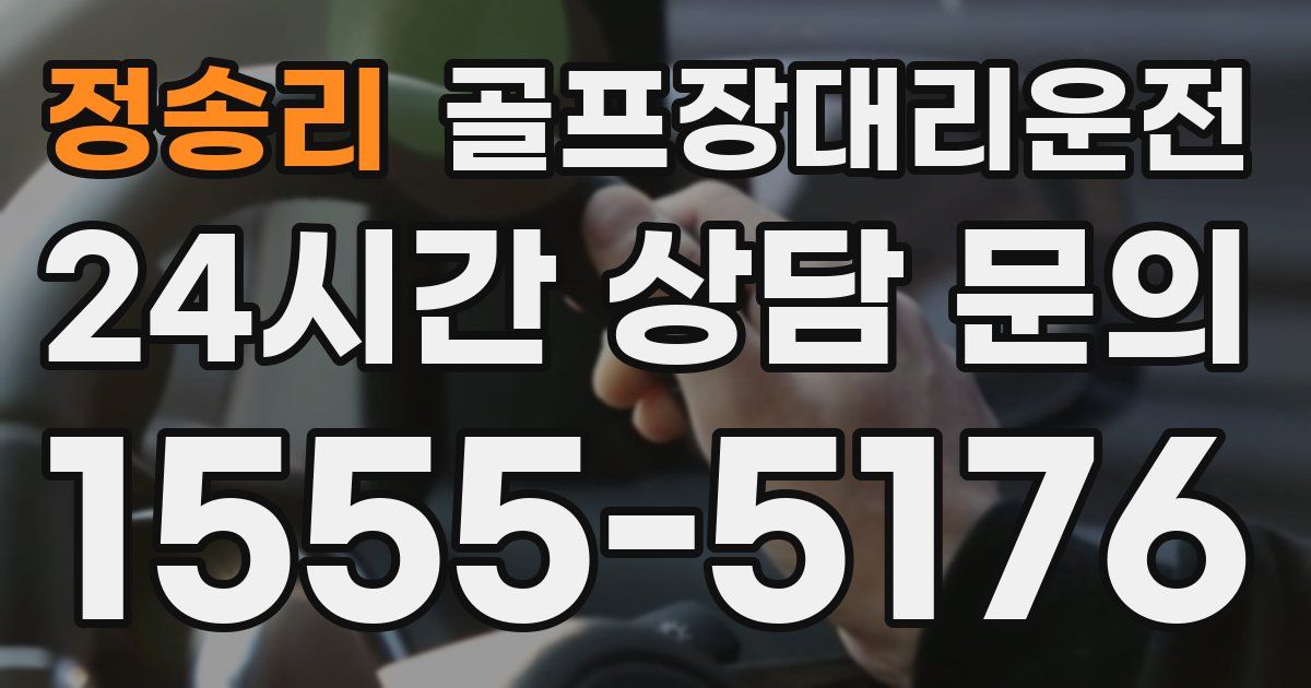 골프장대리운전 서비스