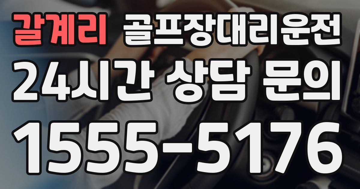 골프장대리운전 서비스