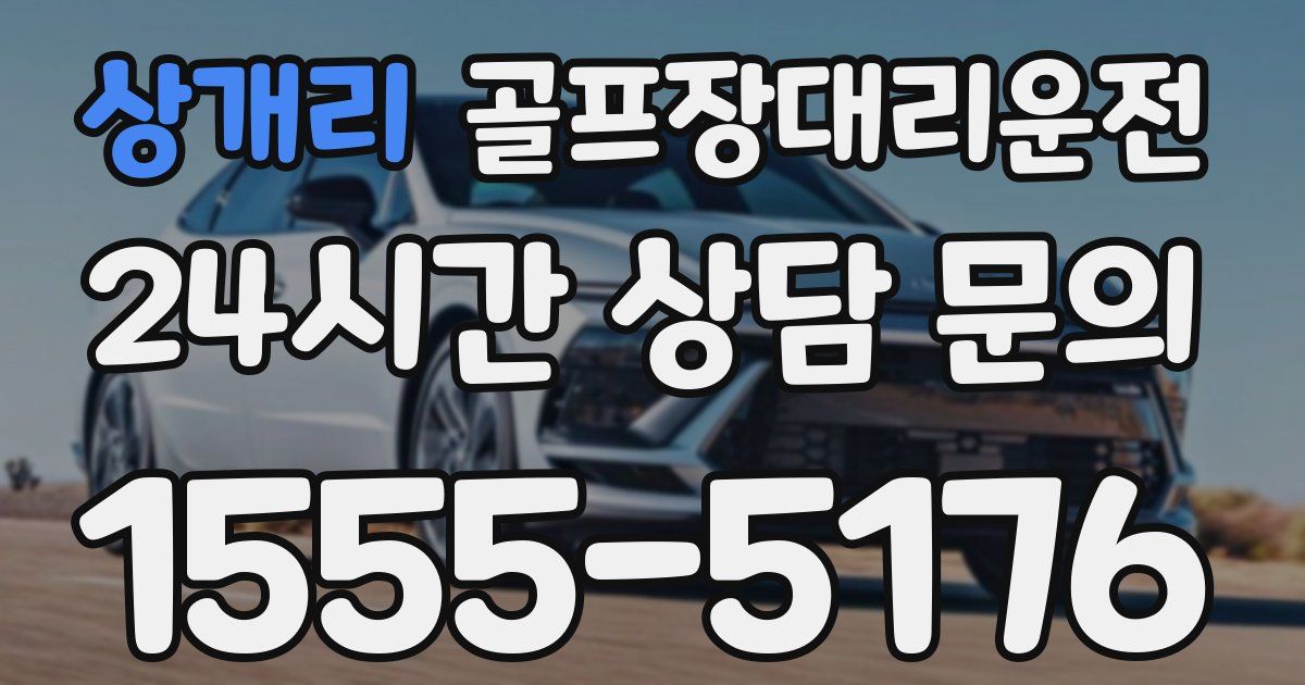 골프장대리운전 서비스