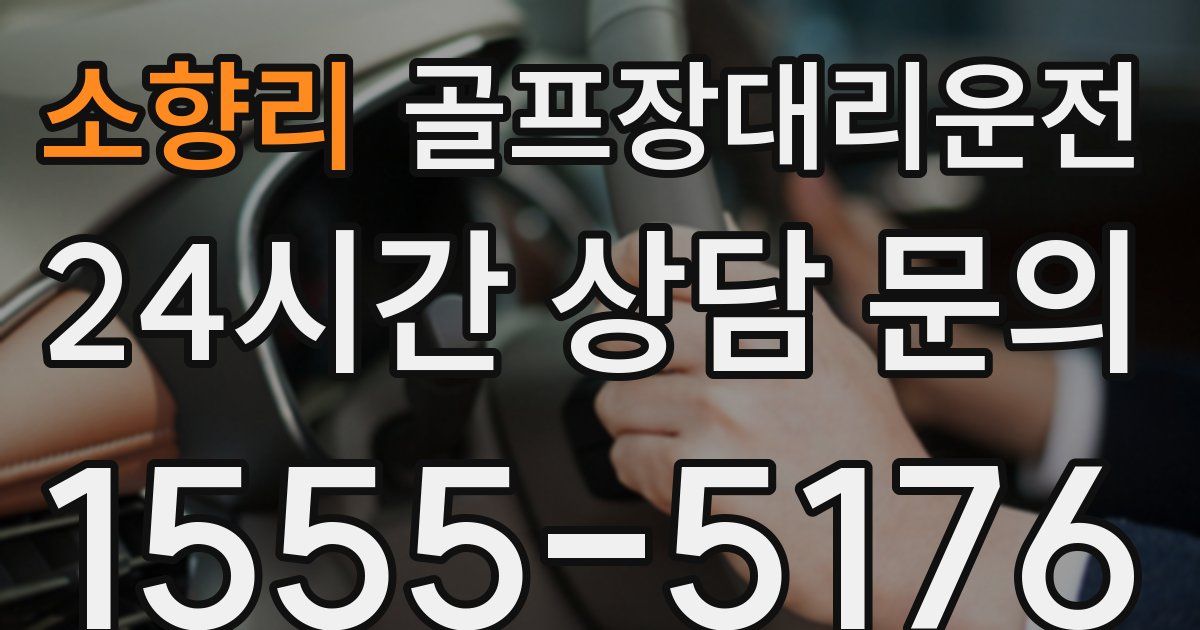 골프장대리운전 서비스