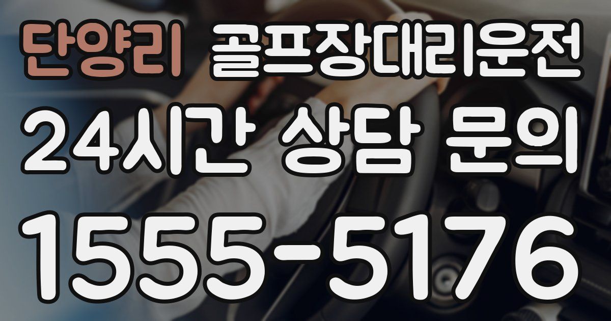 골프장대리운전 서비스