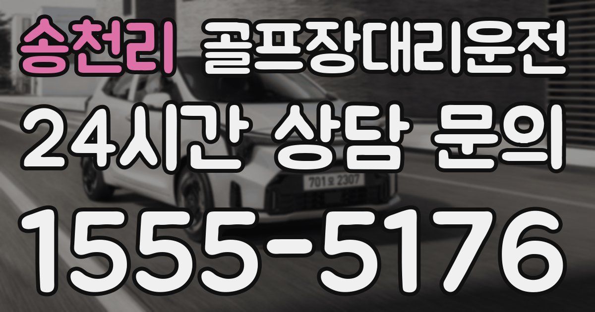 골프장대리운전 서비스