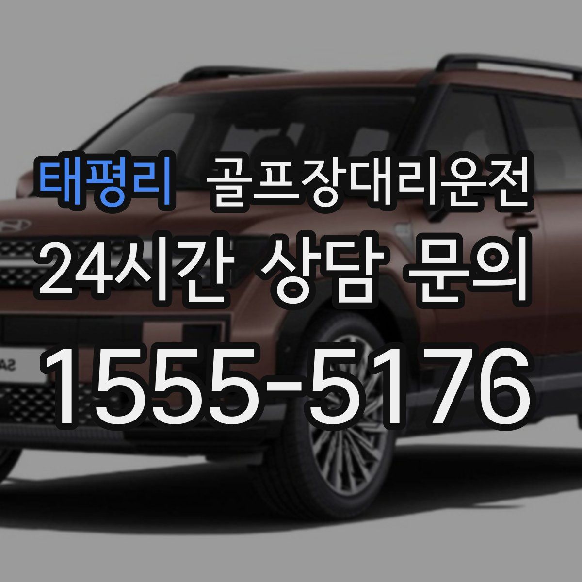 골프장대리운전